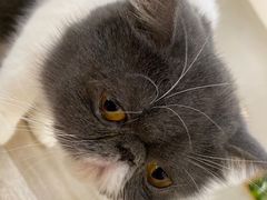 -藏猫猫咖啡主题馆(中央大道店)