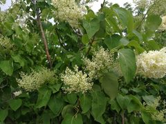 -长春公园(普阳街道)