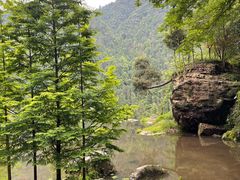 -刘伯温故里景区百丈漈
