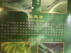 -上海昆虫博物馆