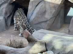-青藏高原野生动物园