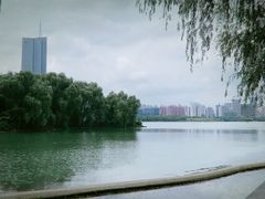 -天鹅湖体育公园