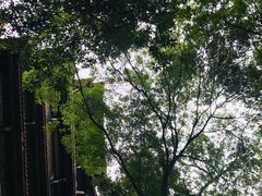 -都江堰景区