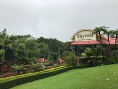 -热带雨林自然公园