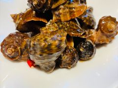 -波螺油子·海肠捞饭·青岛菜(银座店)