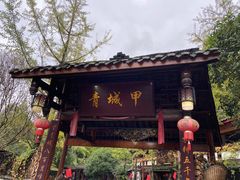 -青城甲(青城山店)