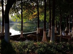 -玄武湖景区-情侣园游乐场