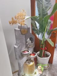 -卡尔诗·科技美肤连锁