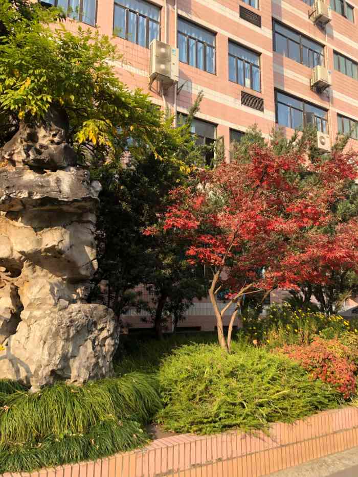 上海市卢湾高级中学位于黄浦区(原卢湾区)-大众点评
