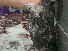 -贝利宠物医院·骨科·眼科·肿瘤转诊中心(南坪诊疗中心)
