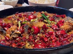 -老板恋上鱼(恒隆广场店)