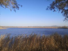 -野鸭湖国家湿地公园