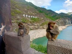 -白帝城·瞿塘峡景区