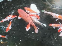 -聚缘堂·海鲜私房菜(松岭路店)