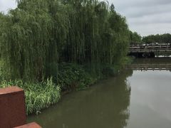 -南翔镇银翔湖公园