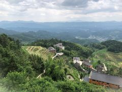 -紫鹊界梯田景区