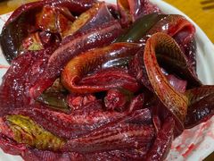 现划鳝鱼-储奇门鳝鱼火锅(总店)