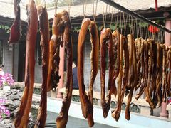 -八姑农庄·广府西江菜·云南野生菌