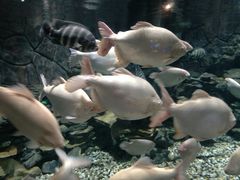 -多彩贵州城极地海洋世界