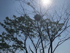 -盘龙城国家考古遗址公园