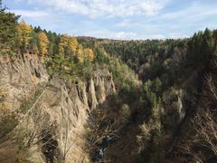 -峡谷浮石林景区