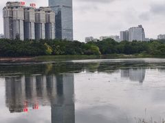 -南宁南湖公园