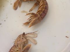 -四海蒸鲜蒸汽海鲜自助(北戴河店)
