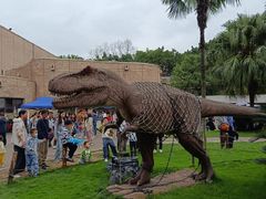 -自贡恐龙博物馆