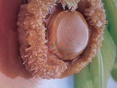 -一德轩·闽.粤料理(福州广场店)