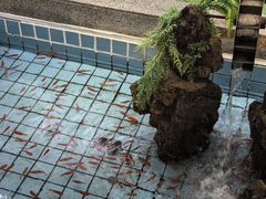 -良友·海鲜青岛菜(五四广场店)