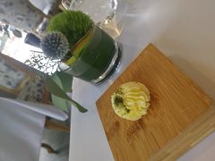 -蝶舍·MAISON PAPILLON