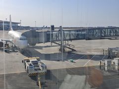 -青岛胶东国际机场