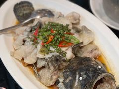青花椒蒸龙胆鱼-闽和南(深圳万象城店)