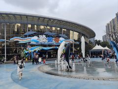 -海合安成都极地海洋公园