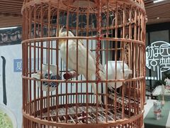 -淮扬府·游园京梦(中粮广场店)