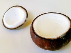 -志龙皇冠吃货椰子铺