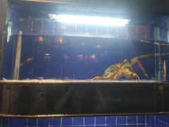 -一德轩·闽.粤料理(福州广场店)