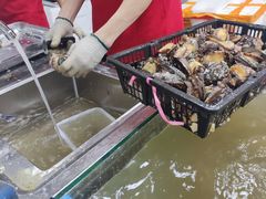 -养牛邓·潮汕牛肉海鲜自助火锅(广州店)