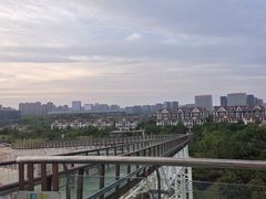 -九龙湖公园