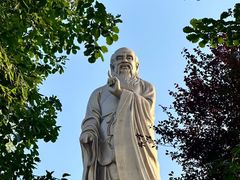 -何家一碗面(南大街店)