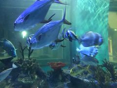-常州海昌海洋探索馆
