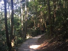 -武夷山风景名胜区-虎啸岩