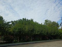 -莲湖公园