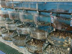 -仙螺岛海鲜自助餐厅(总店)