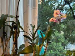 -街角 T·COFFEE 融合料理·BISTRO(车公庙店)