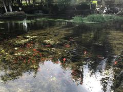 -水磨沟公园