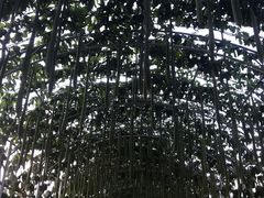 -北戴河集发农业梦想王国