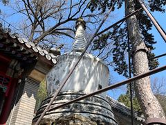 -潭柘寺景区