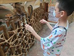 -杭州开元森泊度假乐园