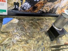 -亚马逊海鲜自助(梅溪湖步步高店)